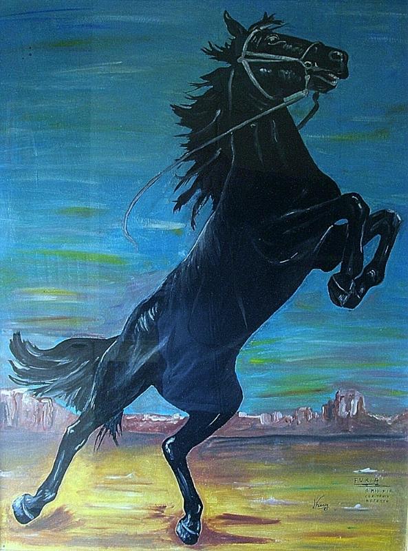 Furia - Un dono a mio figlio Giuseppe.JPG
